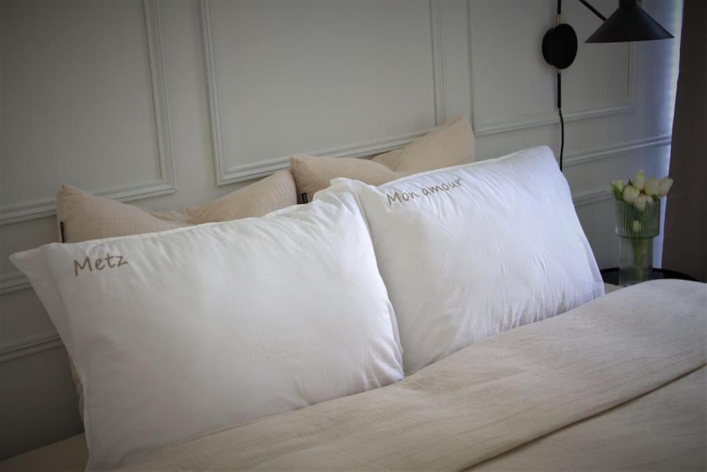 Hotel Metz Mon Amour, Un Sejour A 200M De La Cathedrale ! Classe 3 Etoiles ! エクステリア 写真